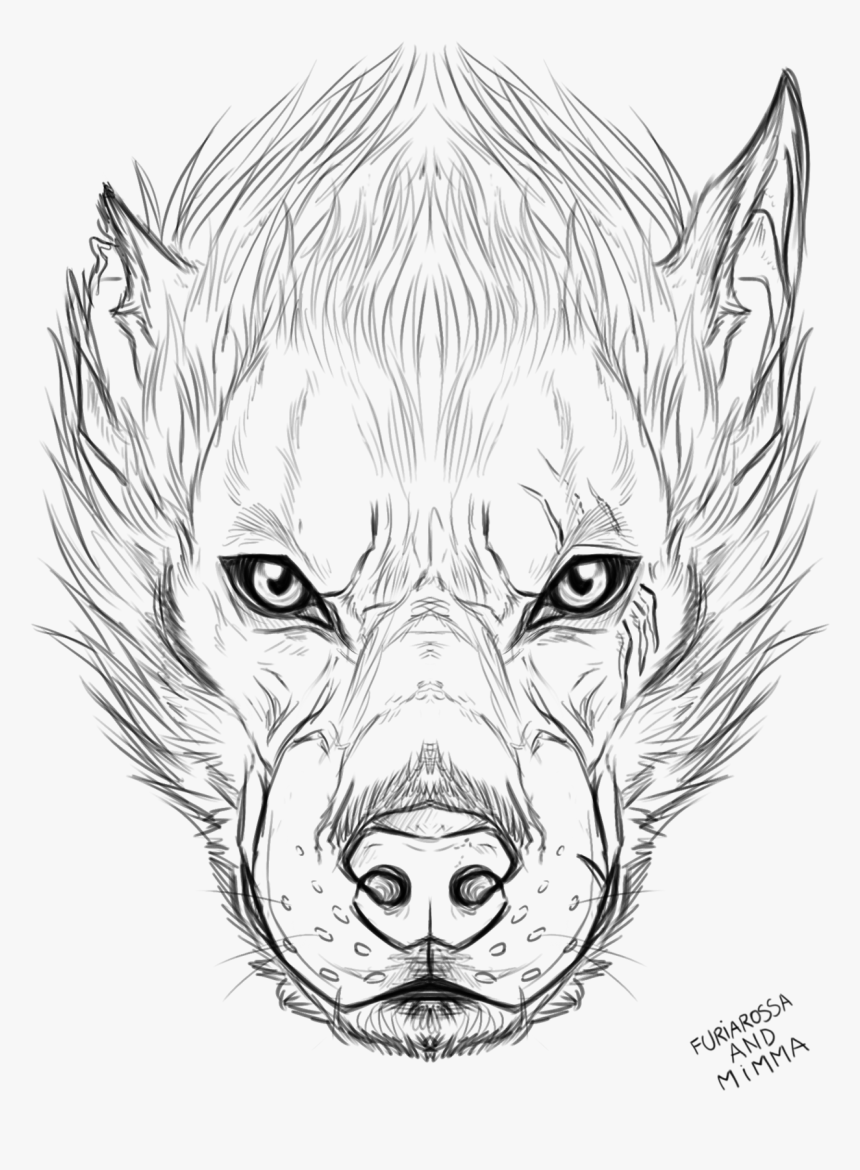 Werewolf Head Drawing Best - Wolf Logo Drawing Face, HD Png Download, Free Download