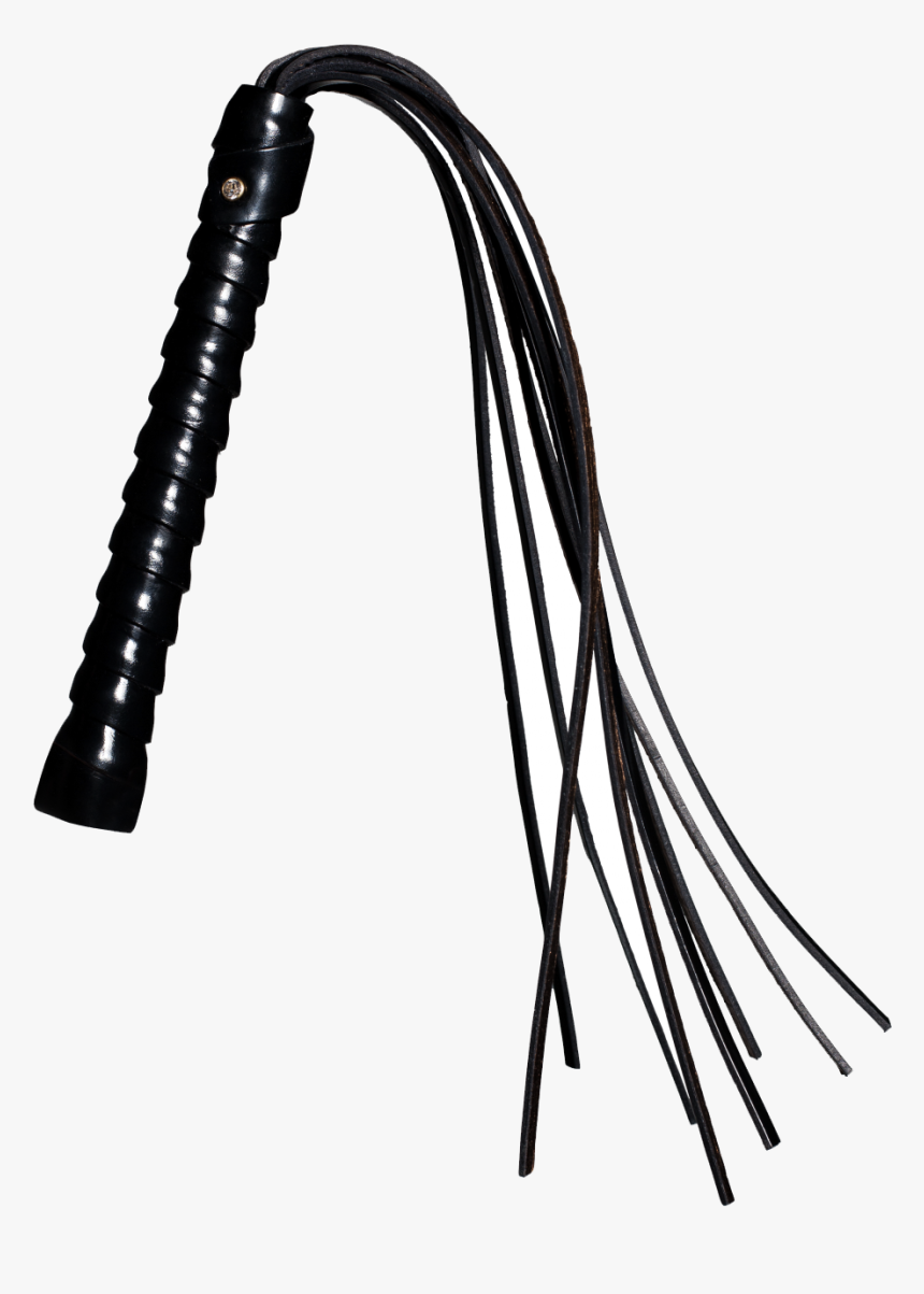 Whip Png Transparent Image - Whip Transparent, Png Download, Free Download