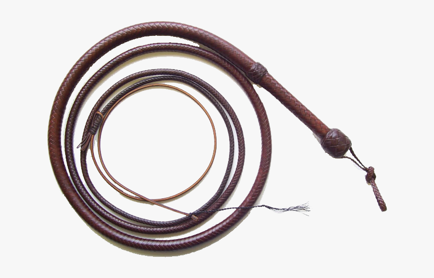 Whip Png Free Download - Whip Png, Transparent Png - kindpng