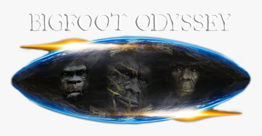 Tony Joins Bigfoot Odyssey As A Guest Host, HD Png Download, Free Download