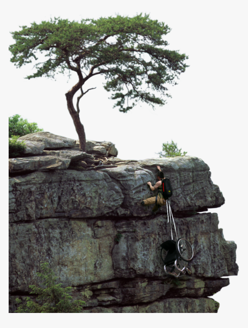 Disabled Man Climbing A Cliff - Tree On Cliff Png, Transparent Png, Free Download