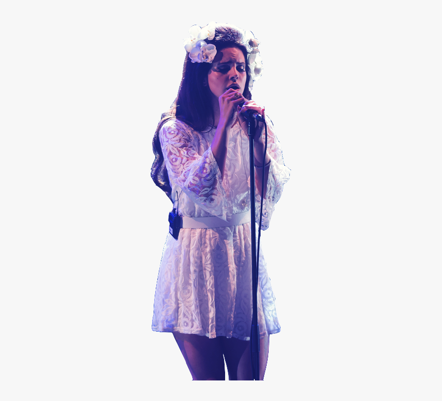 Lana Del Rey Transparent - Lana Del Rey Concert Dress, HD Png Download, Free Download