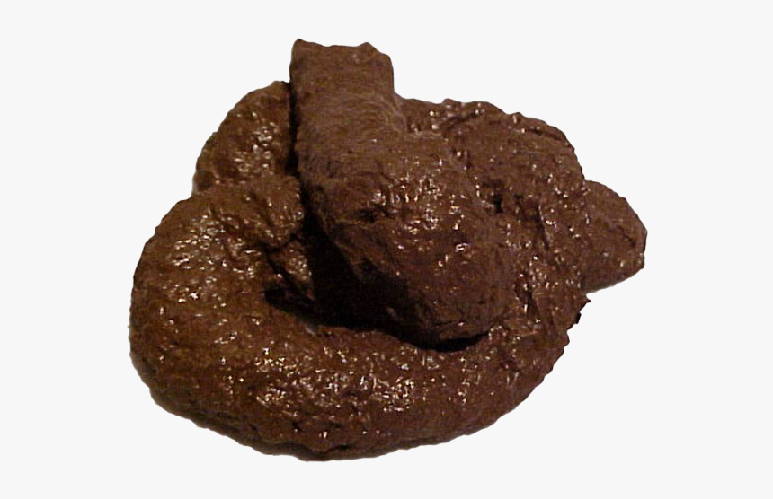 Poop Png - Real Pile Of Poo, Transparent Png, Free Download