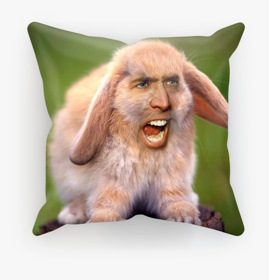 Nicolas Cage"s Face On A Rabbit ﻿sublimation Cushion - Nicolas Cage Face, HD Png Download, Free Download