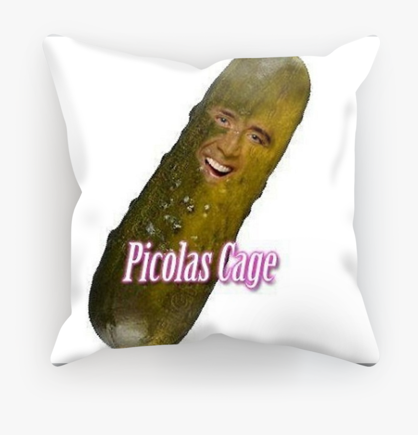 nicolas cage body pillow