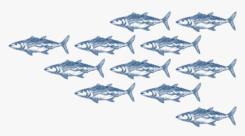 School Of Fishes - Transparent School Of Fish, HD Png Download, Free Download