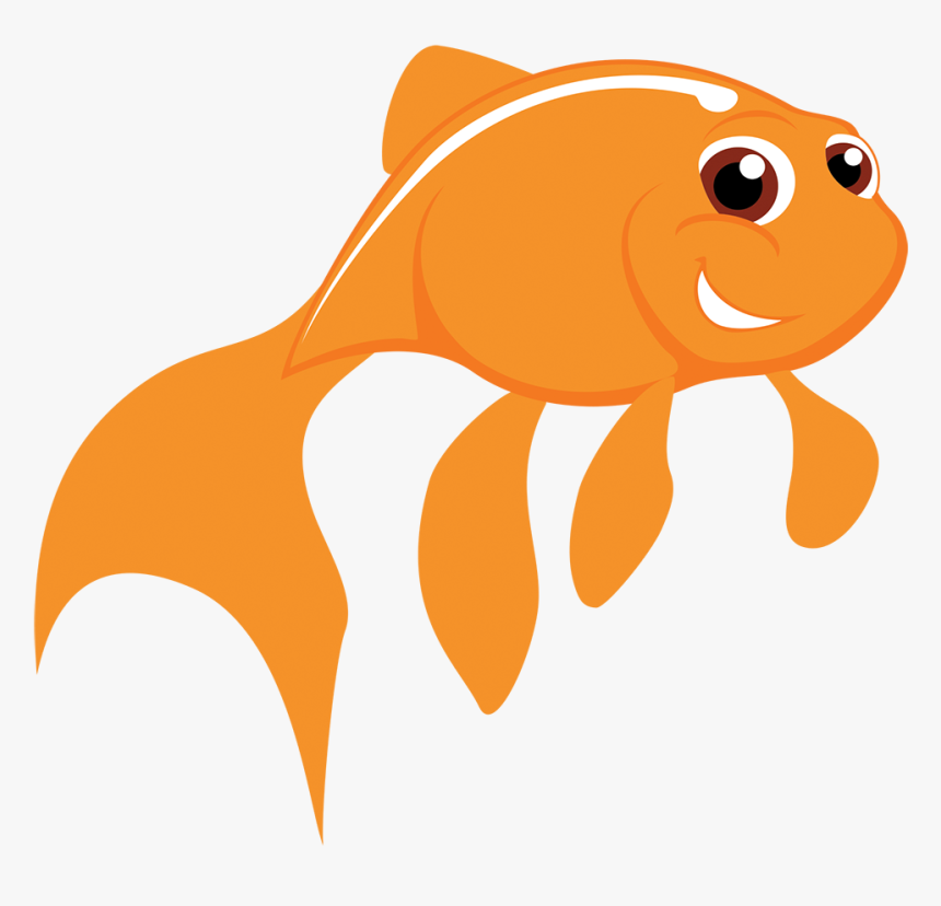 Our Story Russell Aquatics - Animals That Swim Clipart, HD Png Download, Free Download