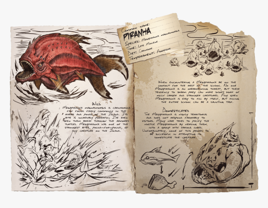 Ark Survival Evolved Fish, HD Png Download, Free Download