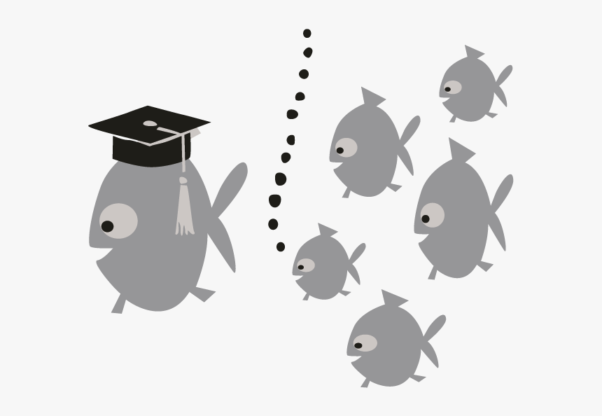 Smock School Of Fish Motif - Cartoon School Of Fish Png, Transparent Png, Free Download