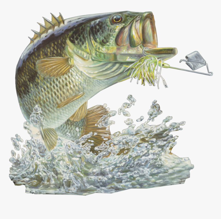 Bass Fishing Club, HD Png Download, Free Download