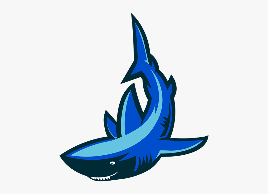 Shark, HD Png Download, Free Download