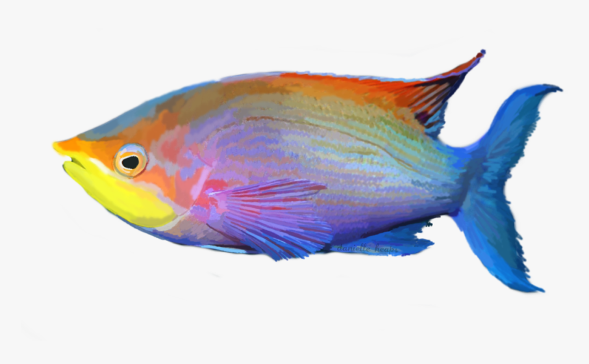 Tropical Fishes Transparent Background, HD Png Download, Free Download