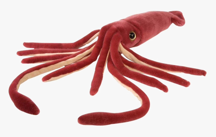 Squid Png Free Download - Squid Soft Toy, Transparent Png, Free Download