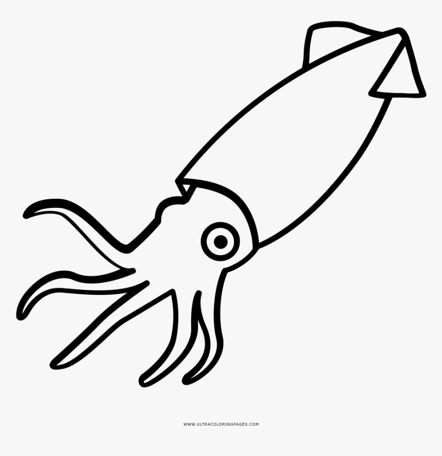 Collection Of Free Squid Drawing Simple Download On - Squid Black And White, HD Png Download, Free Download