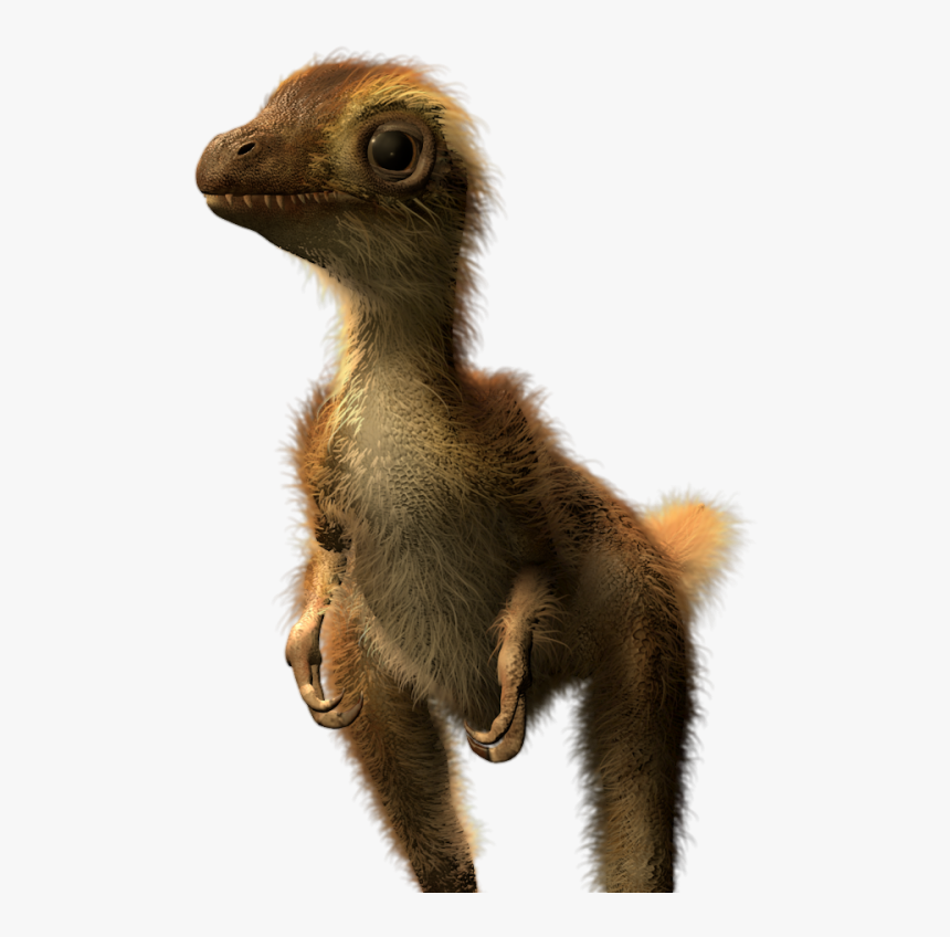 Baby T Rex With Feathers, HD Png Download, Free Download