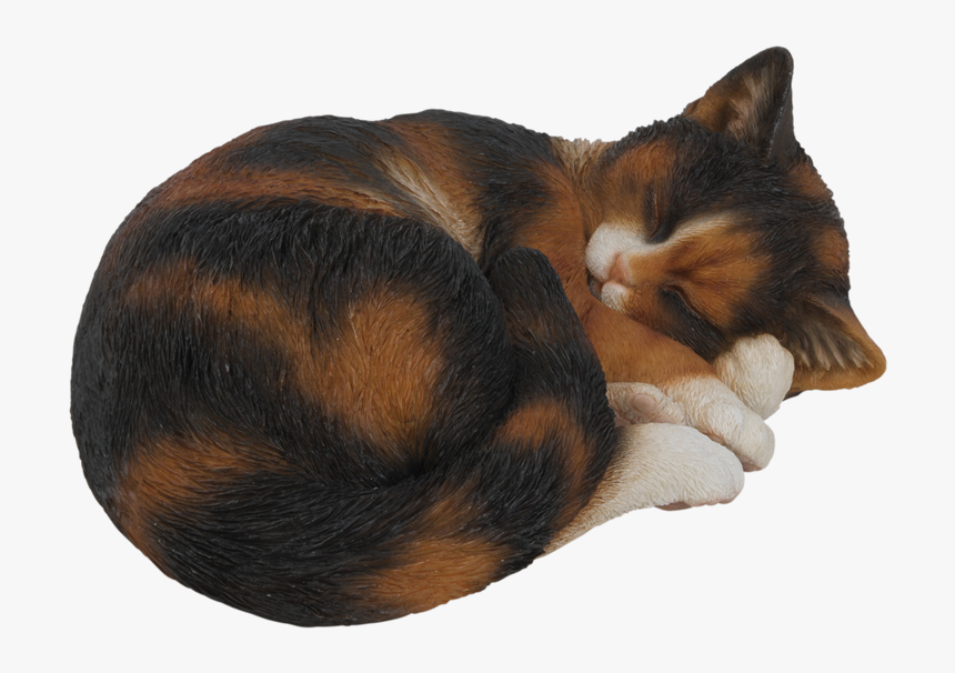 Cat Sleeping Drawing Transparent, HD Png Download, Free Download