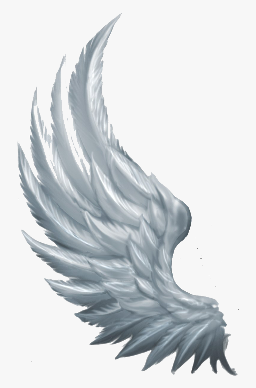 Wings Angel - Transparent Background Green Wings Png, Png Download, Free Download