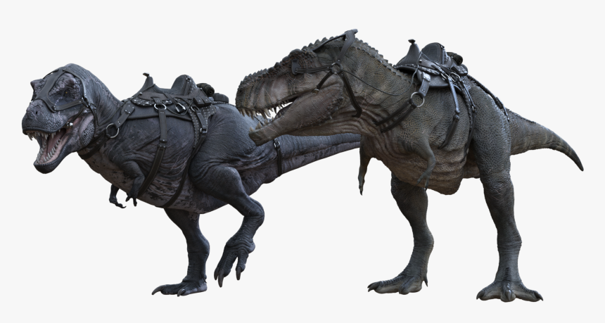 Tyrannosaurus, HD Png Download, Free Download