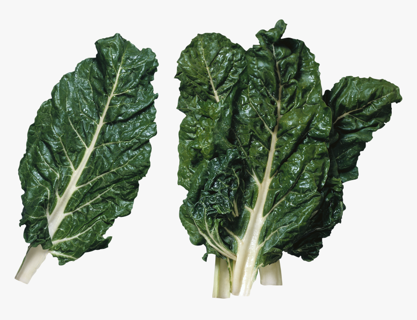Salad Png Image - Leafy Greens Transparent Background, Png Download, Free Download