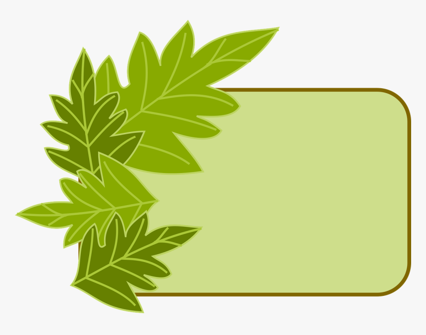 Transparent Herbal Clipart - Frame Border Herbs, HD Png Download, Free Download