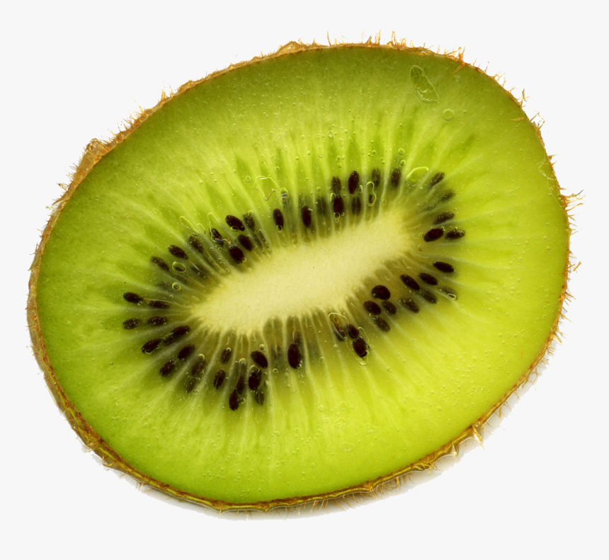 Download Kiwi Free Download Png - Kiwi Png, Transparent Png, Free Download