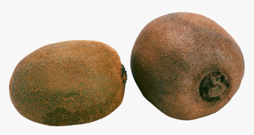 Download And Use Kiwi Png, Transparent Png, Free Download