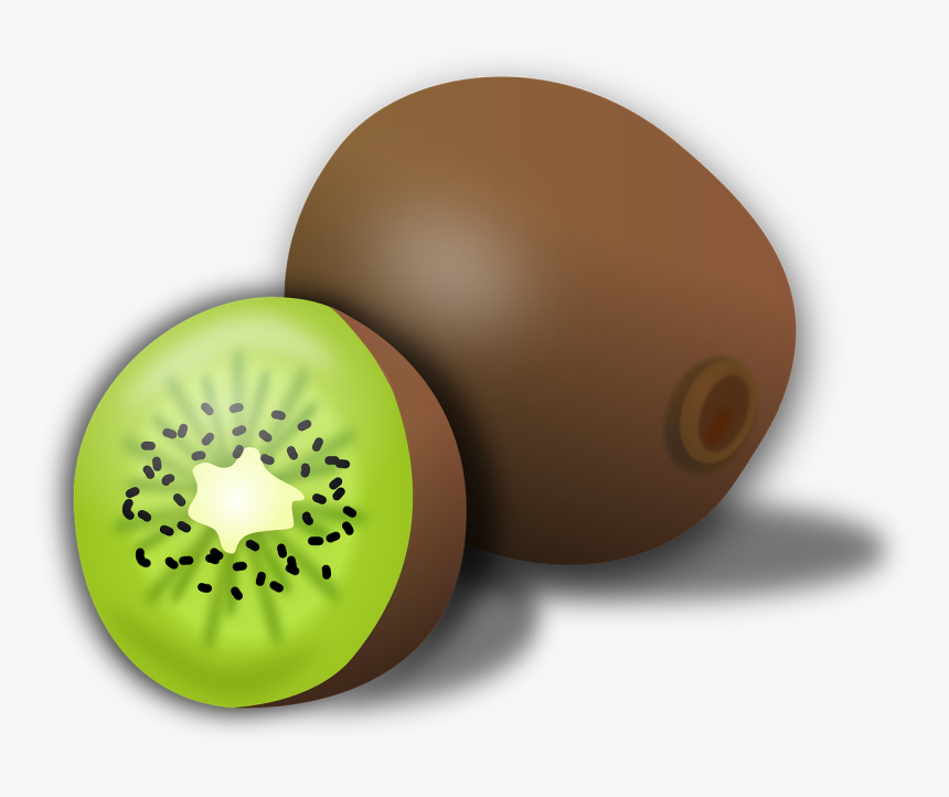 Kiwi Fruit Clipart, HD Png Download, Free Download