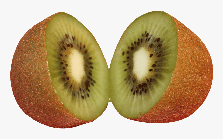 Kiwi Fruit Png - Kiwifruit, Transparent Png, Free Download