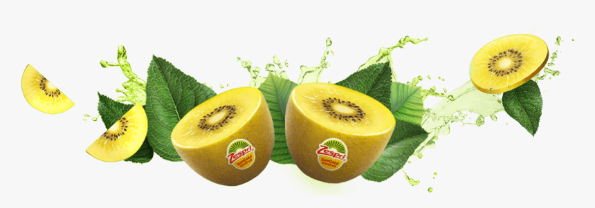Sungold Kiwi Png, Transparent Png, Free Download