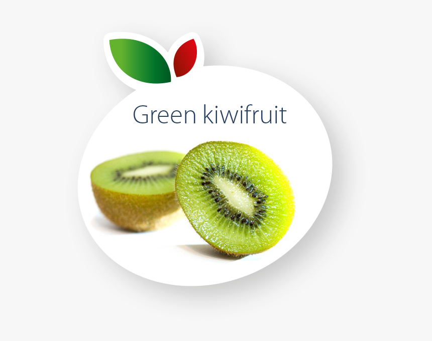 Green Kiwifruit - Kiwifruit, HD Png Download, Free Download