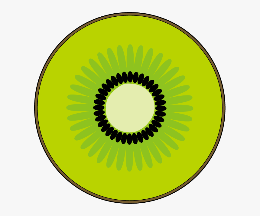 Clipart Kiwi Fruit - Kiwi Fruit Slice Clipart, HD Png Download, Free Download