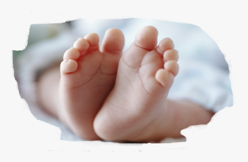 Baby Feet - Haciqabulda Hadise, HD Png Download, Free Download