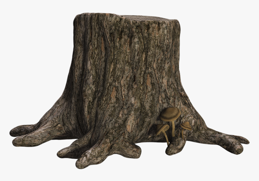 Tree Trunk With Transparent Background , Transparent - Tree Stump Transparent Background, HD Png Download, Free Download