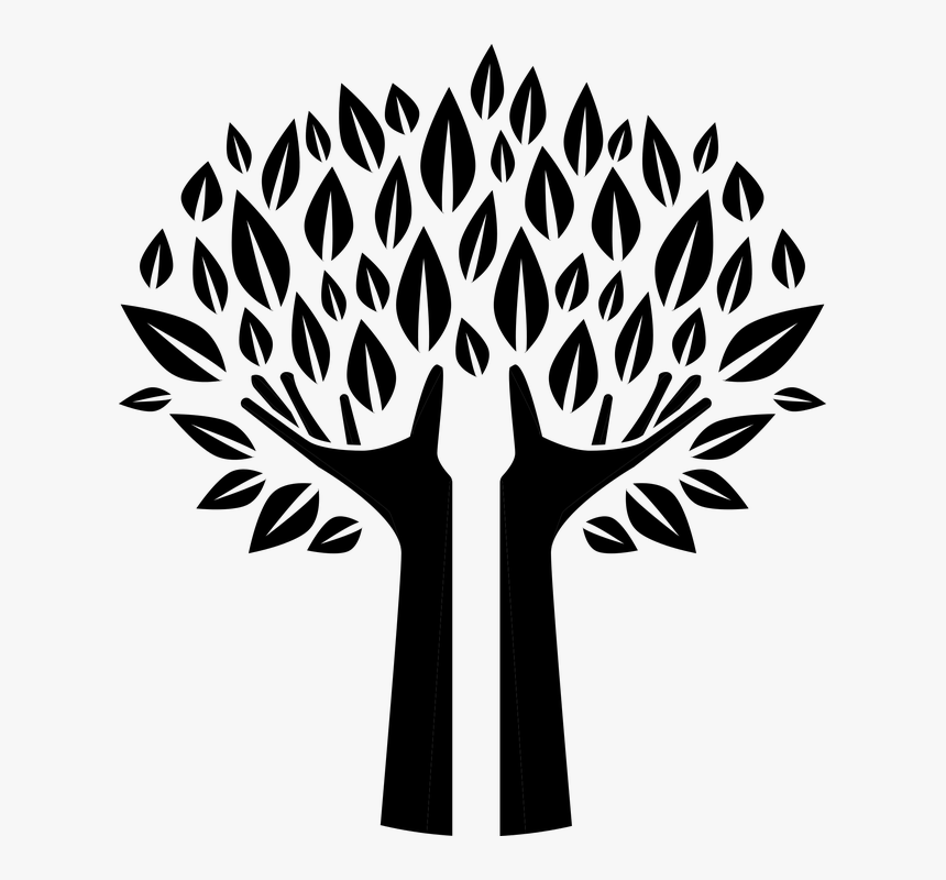 Transparent Spooky Tree Clipart - Family Tree Silhouette Png, Png Download, Free Download