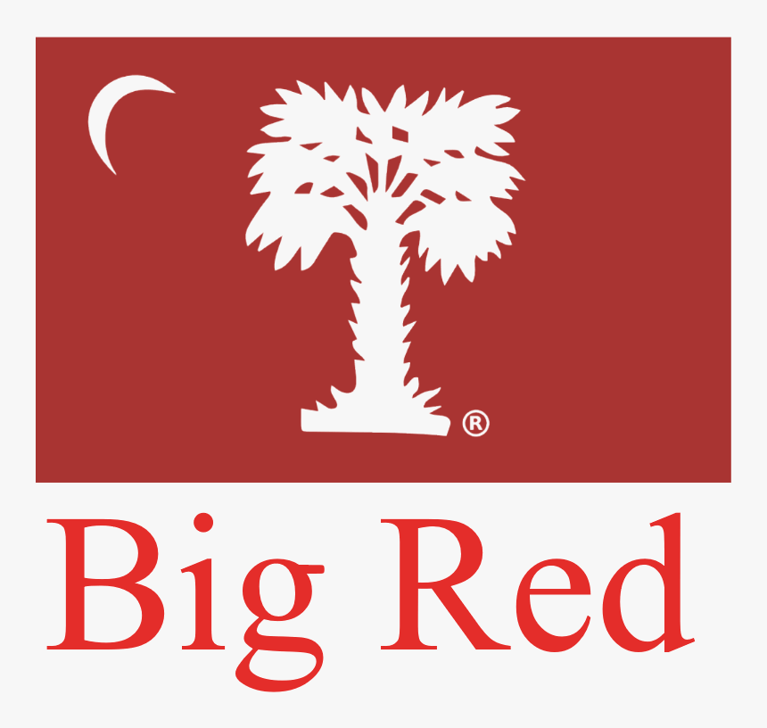 Citadel Big Red Flag, HD Png Download, Free Download