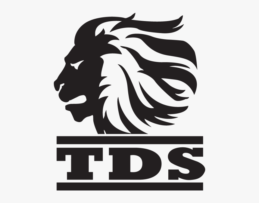 Tds Logo Medium - Tds Logo, HD Png Download, Free Download
