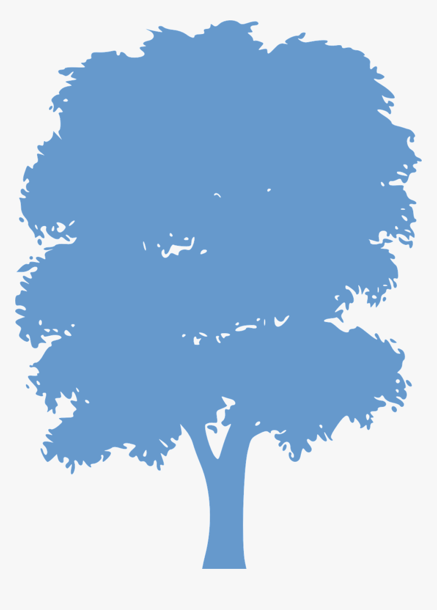 Mango Tree Silhouette Png, Transparent Png, Free Download