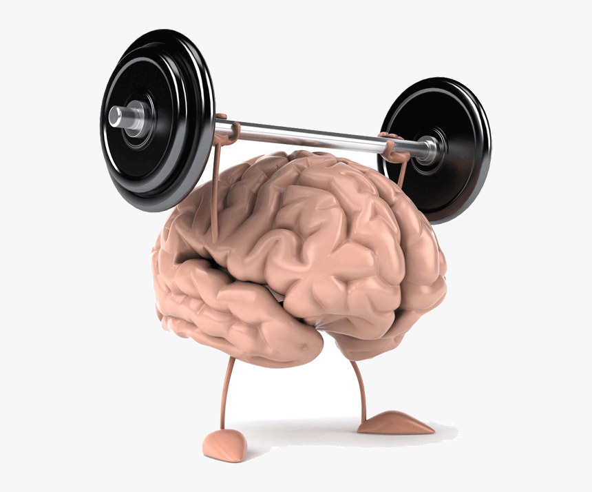 Clip Art Library - Improve Brain Power, HD Png Download, Free Download
