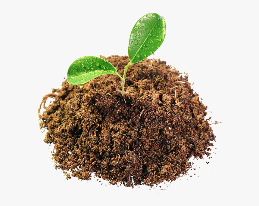 Leaves In Mud Png Image - Soil Png, Transparent Png, Free Download