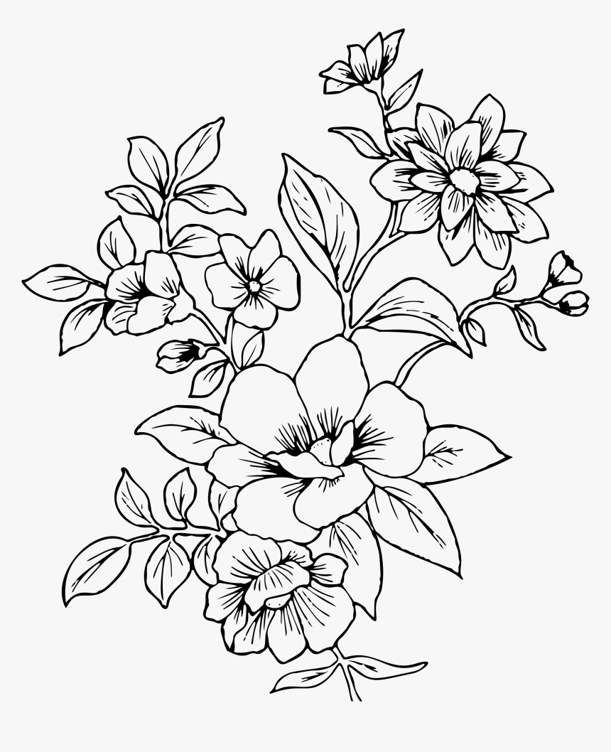 Transparent Flower Drawing Png - Flower Line Drawing Png, Png Download, Free Download