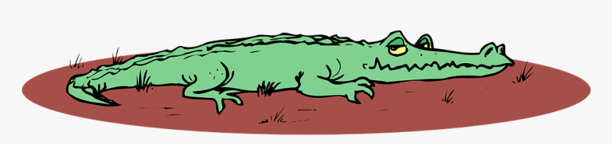 Alligator, Mud, Ground, Smile, Reptile, Swamp - Dibujo De Caiman Negro A Color, HD Png Download, Free Download