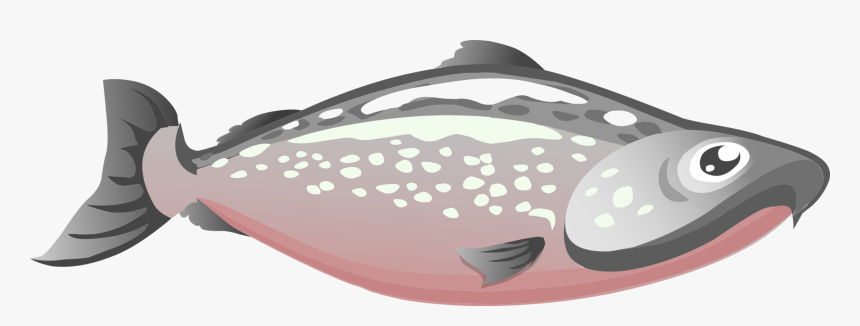 Pink,jaw,fish - Salmon Clipart Png, Transparent Png, Free Download