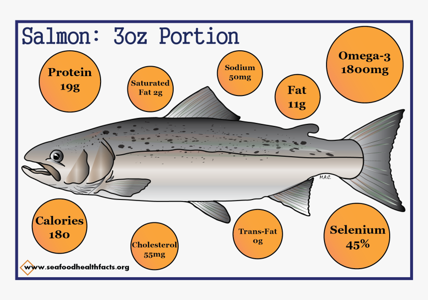 Salmon - Pacific Sturgeon, HD Png Download, Free Download