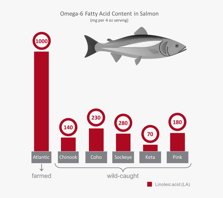 Wild Versus Farmed Feed - Farmed Vs Wild Salmon Chart, HD Png Download, Free Download