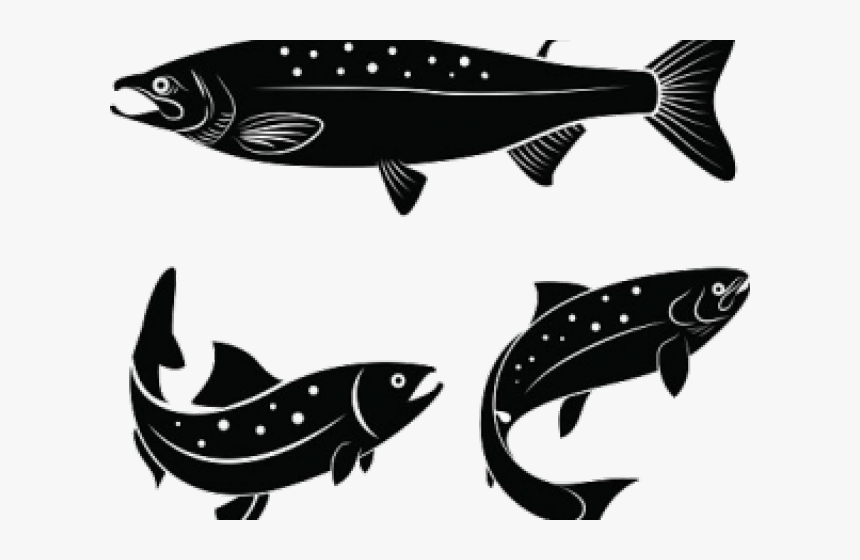Salmon Clipart Fish Body - Salmon Logo, HD Png Download, Free Download