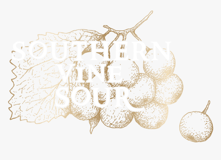 Wcr Southern Vine Logo - Thine Own Self Be True, HD Png Download, Free Download