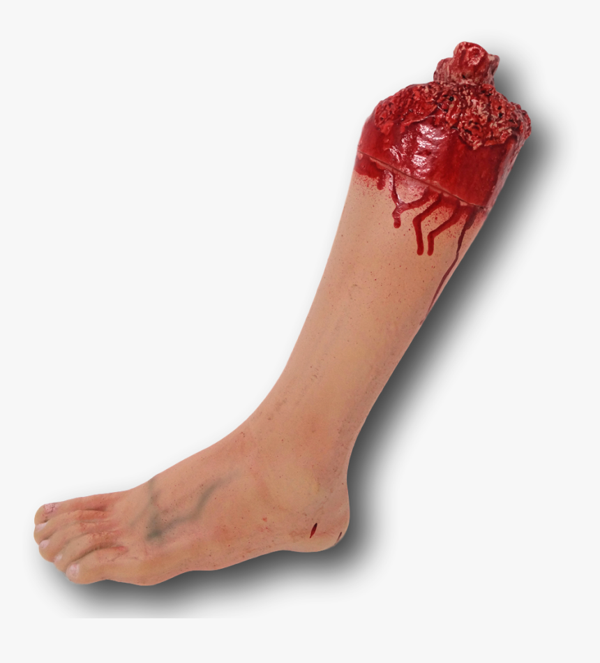 Severed Arm Png, Transparent Png, Free Download