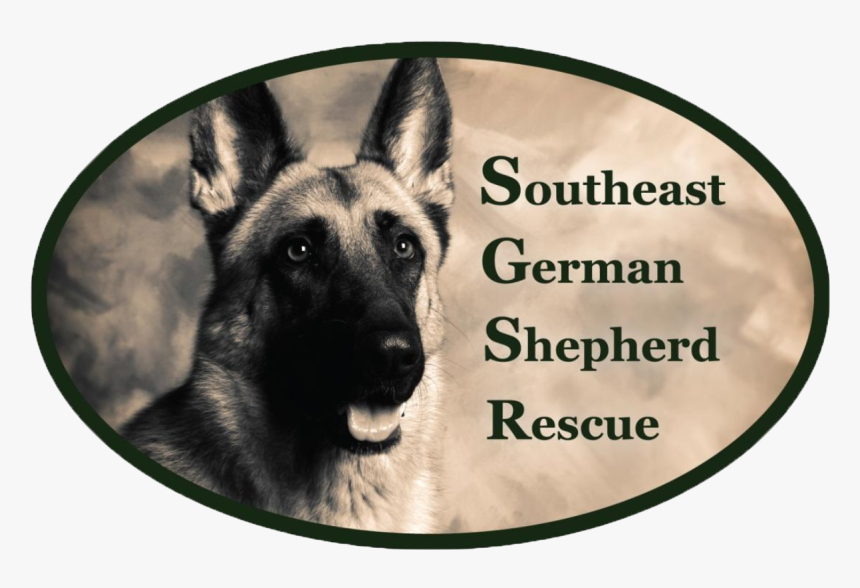Southeast German Shepherd Rescue, HD Png Download, Free Download