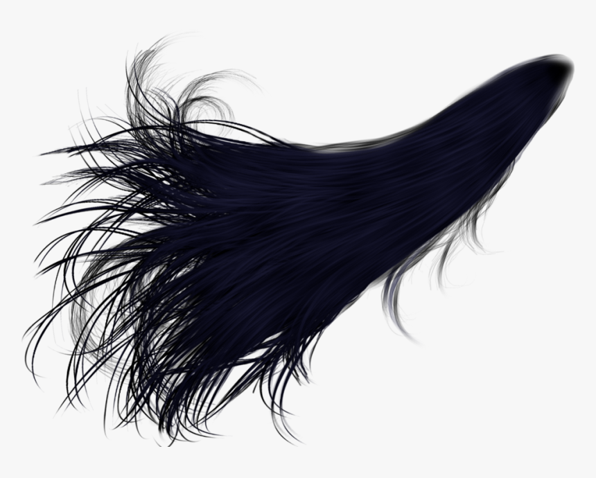 Black Hair Png, Transparent Png, Free Download