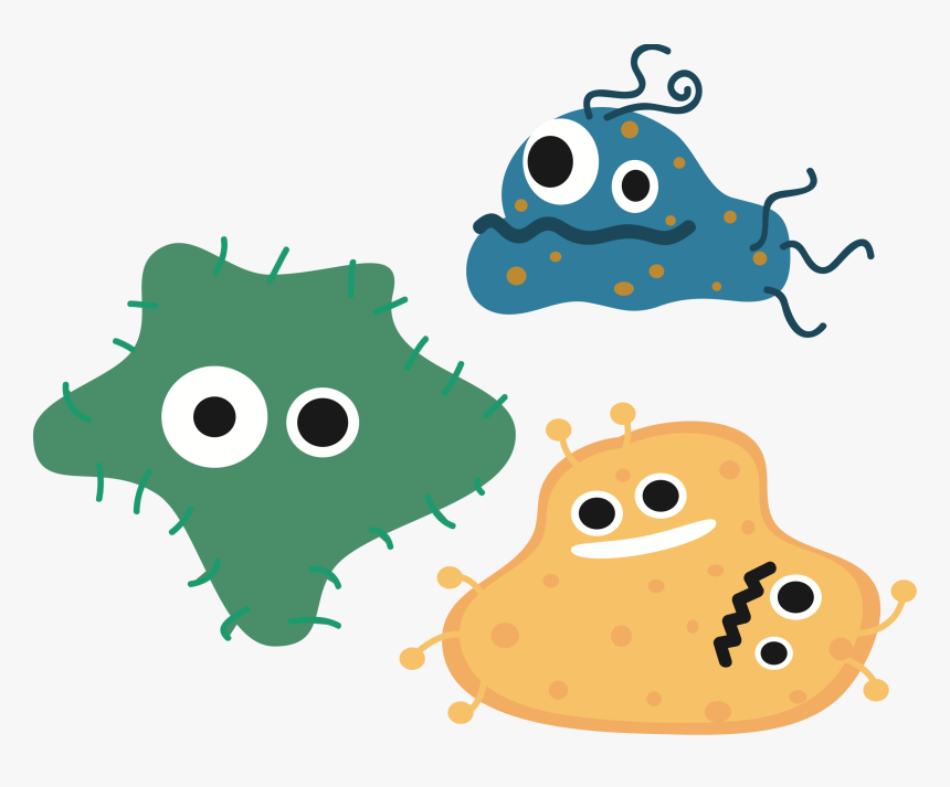 Bacteria Png - Bacterias Png, Transparent Png, Free Download
